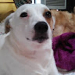 Meet your Posher, Christy